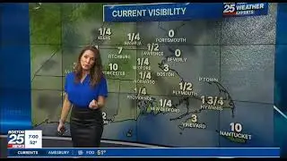 Shiri Spear in a leather skirt walking to the screen Fox 25 News