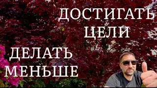 Расскажи, как добиваться целей, делая меньше усилий- выпуск #610 Май 22 2023 #1день1минута #фокус