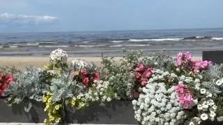 Кафе на берегу в Юрмале