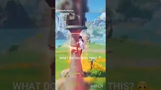 GF fails to figure out how to switch elements (FYI you can't in coop)  