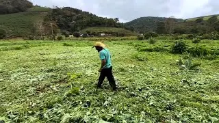 SERÁ QUE FIZEMOS UMA BOA ESCOLHA❓