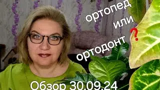 Обзор. Не путайте котлеты с МУХАМИ 🪰❗️