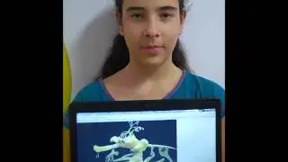 Seadragon - By Beatriz