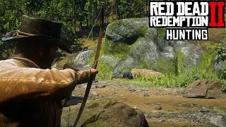 RDR2 - Hunting
