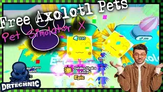 Pet Sim X | Exclusive Giveaways | Roblox | Chill Music