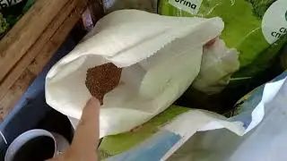 Потеря козы и козла. Лето жаркое.Много дел в деревне.