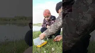 Выбираем наживку /рыбалка/