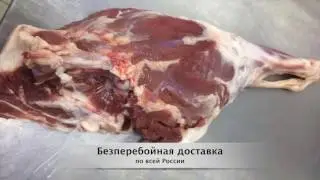 Мясо оптом Баранина, Свинина, Говядина ООО 