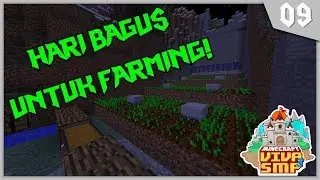 🌟#9 Minecraft VIVA SMP Season 3 ! - FARM WHEAT KEREN BANGET FT. DARKLEX & SAIPULHAMIL