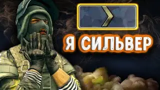 СИЛЬВЕРЫ В 2020 ГОДУ - CS:GO