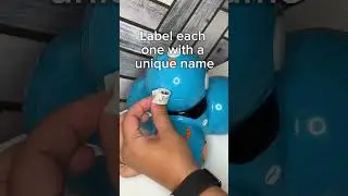 How to Name Each Physical Dash Robot in Your Classroom