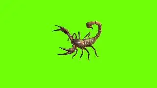 Jumping scorpion green screen।cartoon green screen।scorpion green screen।ostad animation