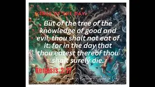 3. Verse of the Day / The tree of Knowledge
