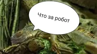 Реакция Игуаны на Паука робота