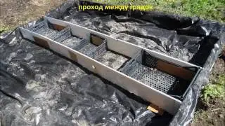 Если грядка в воде !