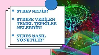 Stres, Strese Verilen Temel Tepkiler ve Stres Yönetimi
