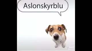 Wenomechainsama Dog meme Extended