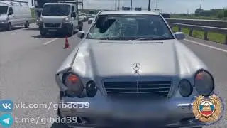 ДТП с пешеходом в Калининграде