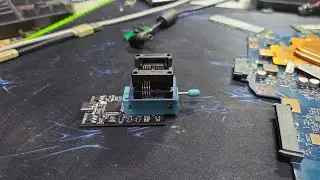 Restori.ru Racoon Prog Programmer Review