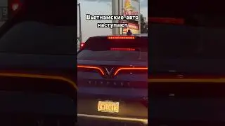 Вьетнамские 