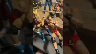 When a family member sees your action figure setup😂#wwe #aew #swawrestling #wrestlingfigures