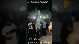 વાહ જોરદાર