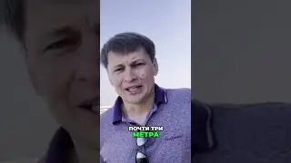 Какой зазор нужно оставить между сэндвич-плитами на цокольной балке 🏗️  