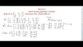CLASS XII CBSE MATHS PAPER 23 V