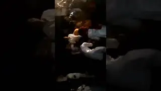 बन्ना दुध पियो दारू छोडो - विवाह गीत with@PreePin