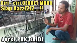 CIRI - CIRI CENDET MUDA SIAP GAS || VERSI PAK BAIDI