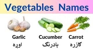Vegetables English Names in Pashto | English Vocabulary in Pashto
