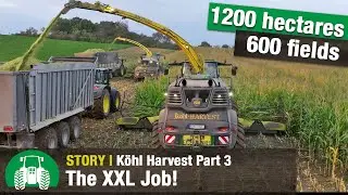 Köhl Harvest Part 3/3 | Maize harvest | John Deere forage harvester | Agricultural contractors
