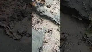 первая часть ручей