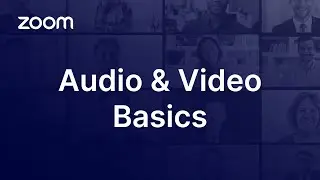 Zoom Audio and Video Basics