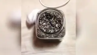 Без названия