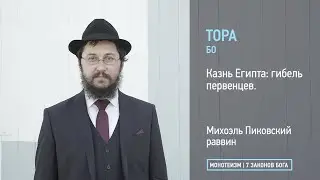 Тора: Глава БО. Казнь Египта: гибель первенцев.