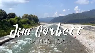 VLOG: TRIP TO JIM CORBETT NATIONAL PARK