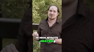 Aquaponics and Cannabis: Mimicking Nature for Optimal Growth and Health