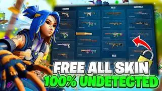 24h With The Best Valorant Skin Changer In 2026 | INSANE Result - 100% Undetected