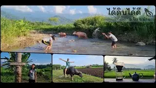 [Nan Vacation 2020] [TH] :: เที่ยวน่านหน้าฝน [EP1] ได้ดิบได้ดี  อ.ปัว จ.น่าน #Katyslimclub