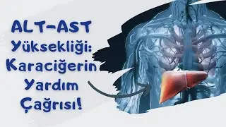 ALT-AST YÜKSEKLİĞİ: KARACİĞERİN YARDIM ÇAĞRISI!