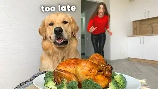 Leaving My Dog Alone With A Juicy Chicken