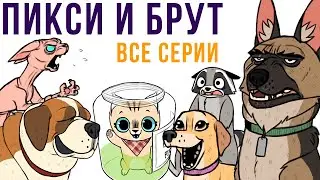ПИКСИ И БРУТ. ВСЕ КОМИКСЫ 2020 | Мемозг 