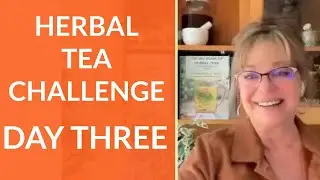 Herbal Tea Challenge Day Three: Tonic Herbs the Who, What, When, Where, How, and Why