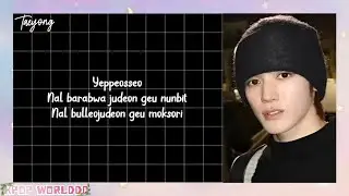 TAEYONG - YOU WERE BEAUTIFUL EASY LYRICS