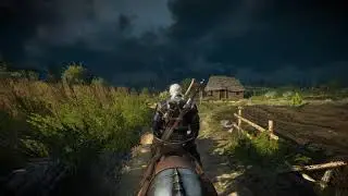 The Witcher