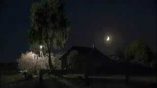 Георг Отс   Одинокая гармонь