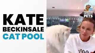 Kate Beckinsale Teaching Her Kitty How to Pool 🎱🐱