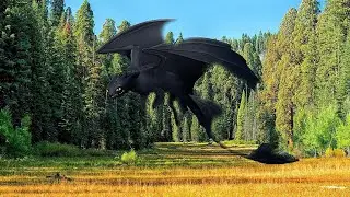 Книга драконов ночная фурия