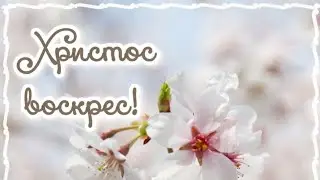 ОН ЖИВ!!!!❤️❤️❤️АККОРДЕОН+СКРИПКА
